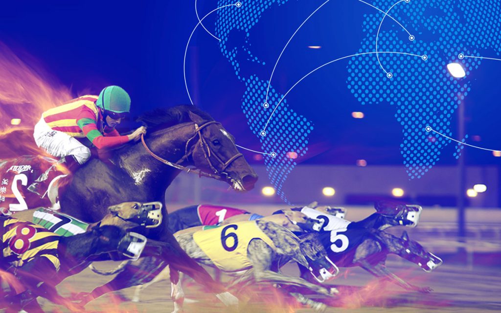 Horse Racing, Harness & Greyhound Racing